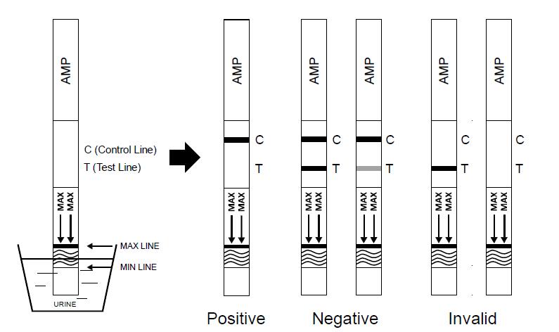 Money, executing each writes reception, real admit and state by which Total plus answers